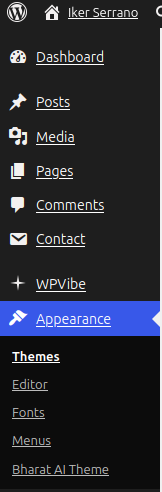 Menú Appearance a WordPress